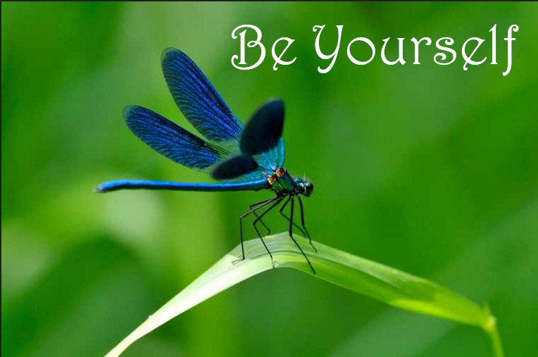 be yourself by civic site design